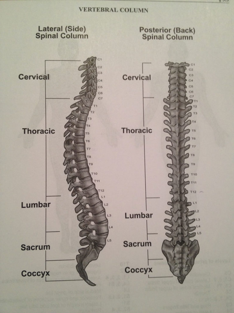 https://old.law-kc.com/wp-content/uploads/2017/05/Spine-Herniated-Disc-Injury-4.jpg