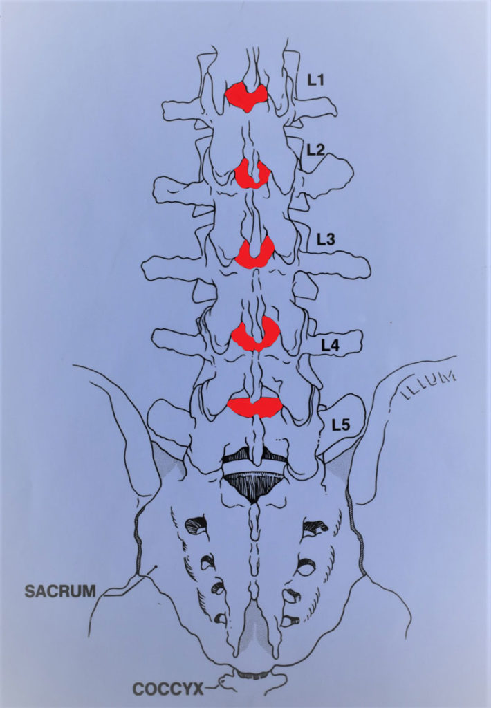 https://old.law-kc.com/wp-content/uploads/2017/05/ilium-illustration.jpg