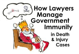 How Lawyers Manage Governmental Immunity in Wrongful Death & Personal Injury Cases